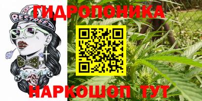 стафф Бузулук