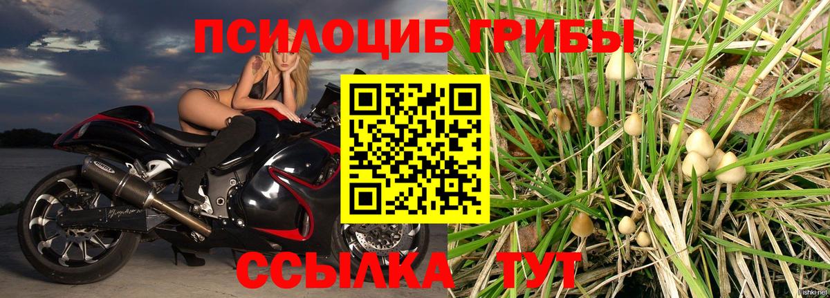 Петропавловск-Камчатский  Галлюциногенные грибы Magic Shrooms  Вход с VPN 